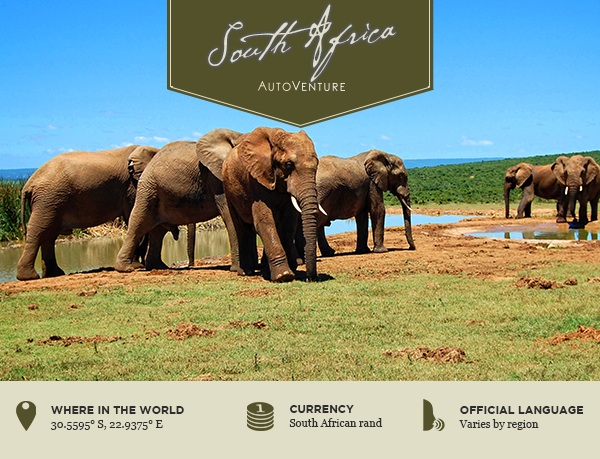 south africa 2016