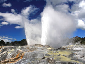 rotorua geyser